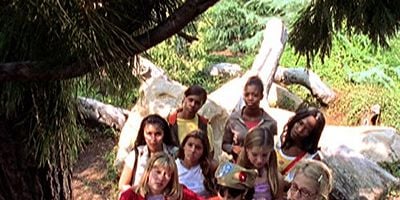 Cartel de Cuando las mamás atacan