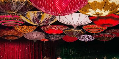 Cartel de Duerme El Lobo Embalsamado