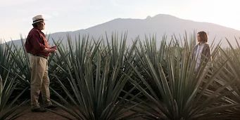 Cartel de El tostoneo