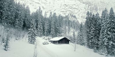 Cartel de Der Mann aus dem Wald