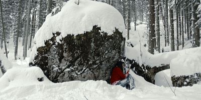 Cartel de Aus Fleisch und Blut