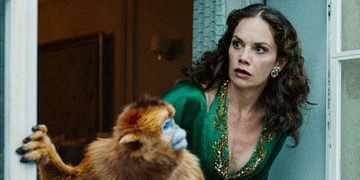 Cartel de The Idea of North