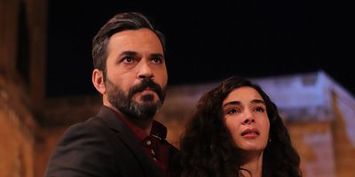 Cartel de Hercai 22.Bölüm