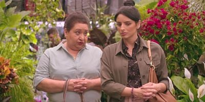 Cartel de DALIA (símb. gratitud)