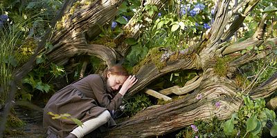 Cartel de No soy un ave