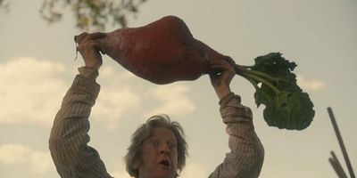 Cartel de La cima de mis aspiraciones