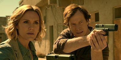 Cartel de Estúpido perrito