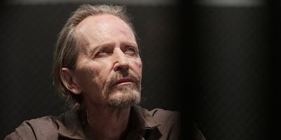 Cartel de Vínculos de sangre