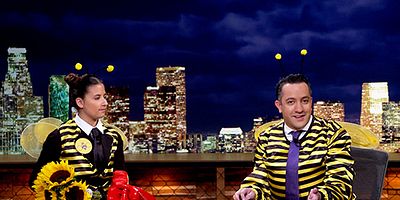 Cartel de Abejicidio