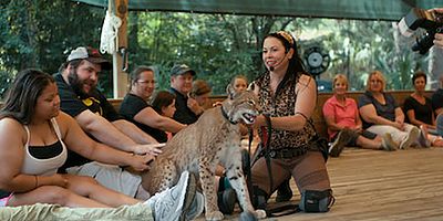Cartel de Culto a la personalidad