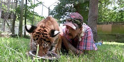 Cartel de Lo más noble sería...