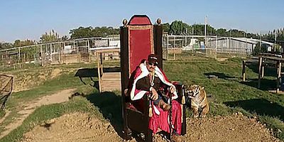 Cartel de Destronado