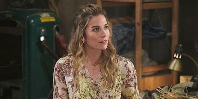 Cartel de The Rollout