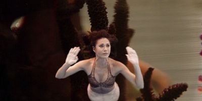 Cartel de Nuevos comienzos