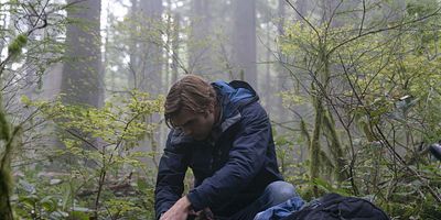 Cartel de The Island