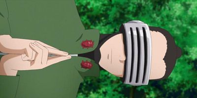 Cartel de Himawari, ninja taiken!!