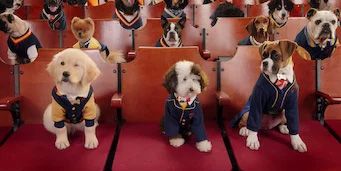 Cartel de El bosque prohibido