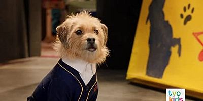 Cartel de The Stray's Last Day