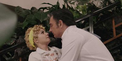 Cartel de En busca de un amor estable