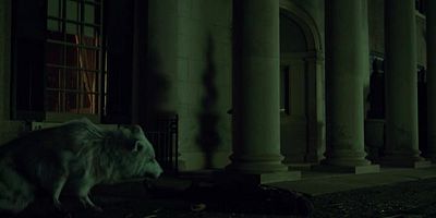 Cartel de Brian's Song