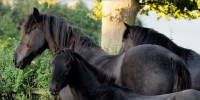 Cartel de Bienvenido al mundo