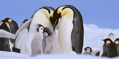 Cartel de Mate Expectations