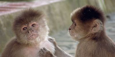 Cartel de We're all the same