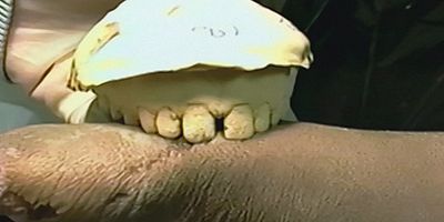 Cartel de The Evidence: Indeed and Without Doubt