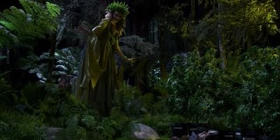 Cartel de Tinturas para el Bienestar Revivificante del Dr. Dankerson