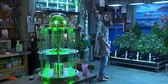 Cartel de Hierba de Schrödinger