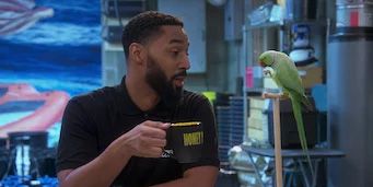 Cartel de Erschreckendglückseligkeit OG