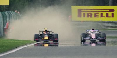 Cartel de Toro salvaje