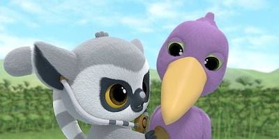 Cartel de Picozapato, el pájaro modelo