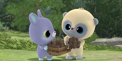 Cartel de Pica colecciona piñas