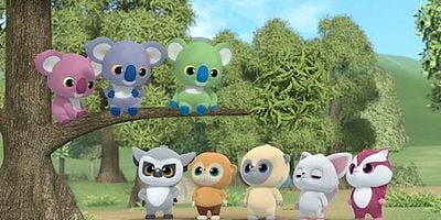 Cartel de Un koala holgazán