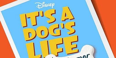 Cartel de Whale Poop Dogs & Sheep Herding Dogs