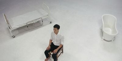 Cartel de La coleccionista