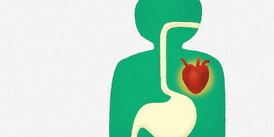 Cartel de Por qué no funcionan las dietas