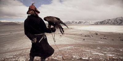 Cartel de Mandíbulas y garras