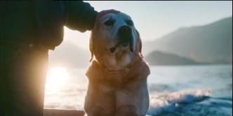 Cartel de Ice en el agua