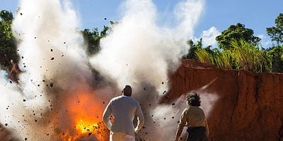 Cartel de Broodstock