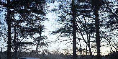 Cartel de Bruce Wayne McQueen