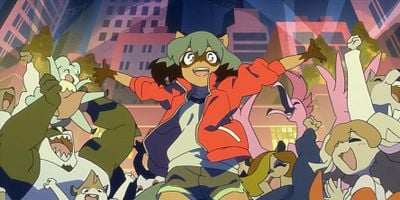 Cartel de Mapache en fuga