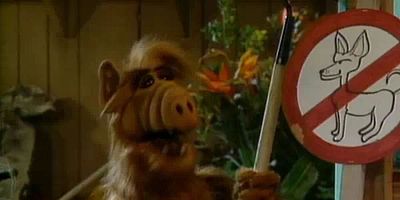 Cartel de Border Song