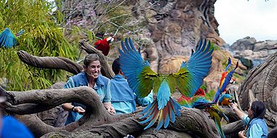 Cartel de Betty y la bestia