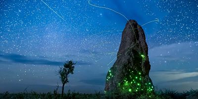 Cartel de Jungla del jaguar