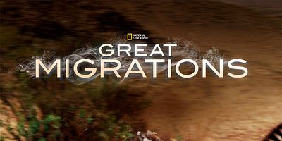 Cartel de Born to Move