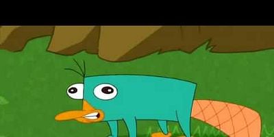 Cartel de Perry, el actortorrinco