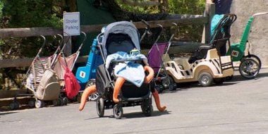 Cartel de Buscando a Dory: Escape del Acuario