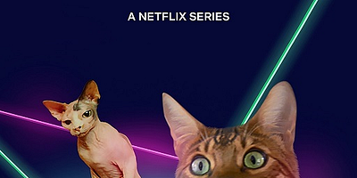 Cartel de Rap gatástico